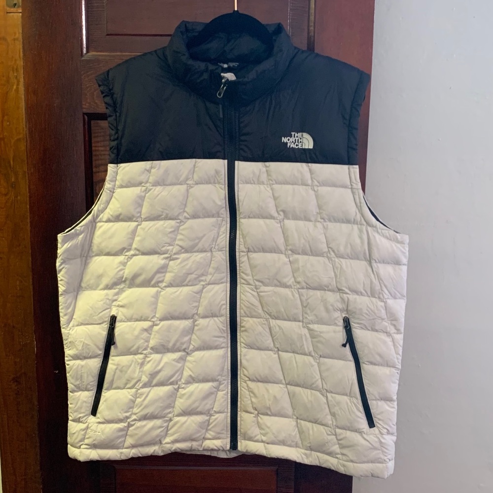 The Northface Vest